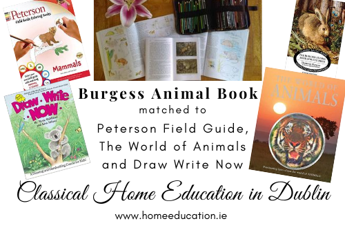 Burgess Animal Book matched to Peterson Field Guide, The World of Animals and Draw Write Now Cover Image