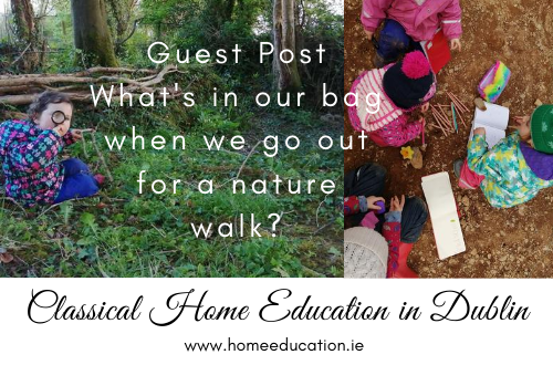 HomeEducation.ie Nature Walk Guest Post