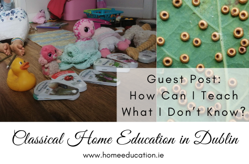 guest-post-HomeEducation.ie.HowCanITeach-can-i-teach-what-i-dont-know